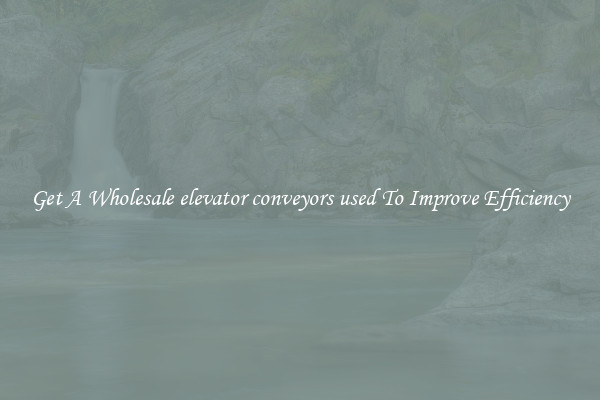 Get A Wholesale elevator conveyors used To Improve Efficiency