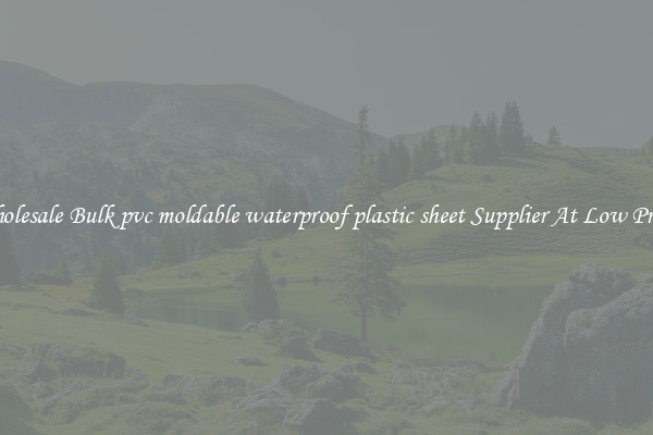 Wholesale Bulk pvc moldable waterproof plastic sheet Supplier At Low Prices