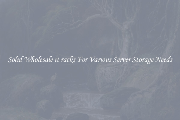 Solid Wholesale it racks For Various Server Storage Needs