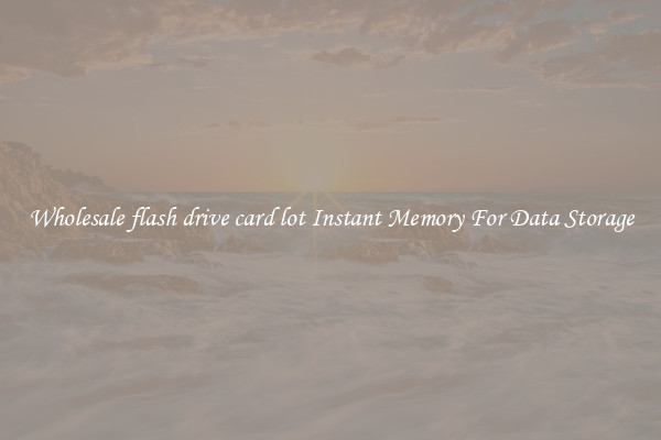 Wholesale flash drive card lot Instant Memory For Data Storage