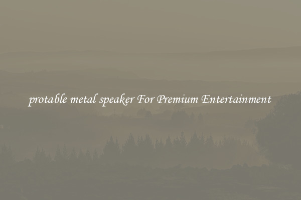 protable metal speaker For Premium Entertainment 