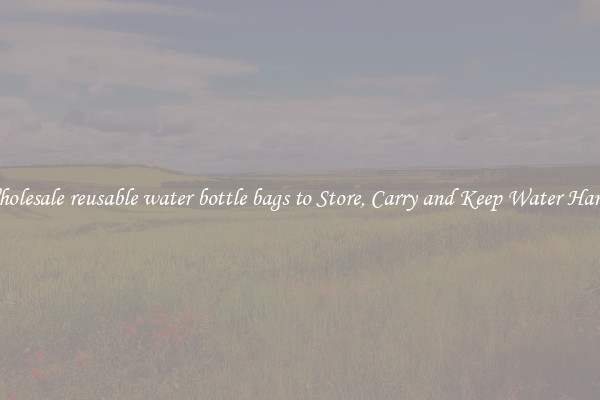 Wholesale reusable water bottle bags to Store, Carry and Keep Water Handy
