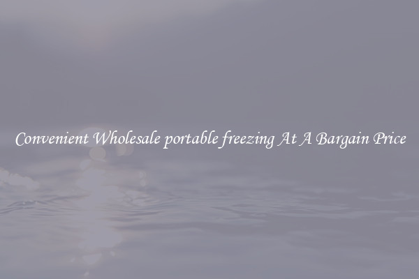 Convenient Wholesale portable freezing At A Bargain Price