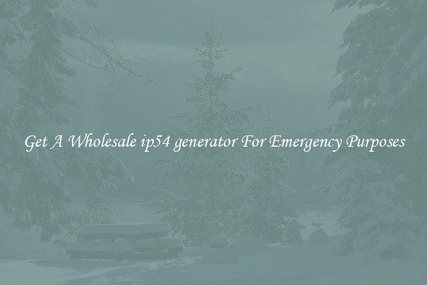 Get A Wholesale ip54 generator For Emergency Purposes