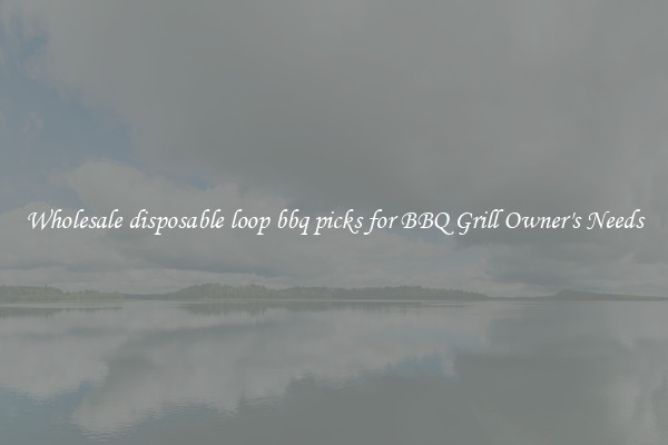 Wholesale disposable loop bbq picks for BBQ Grill Owner's Needs