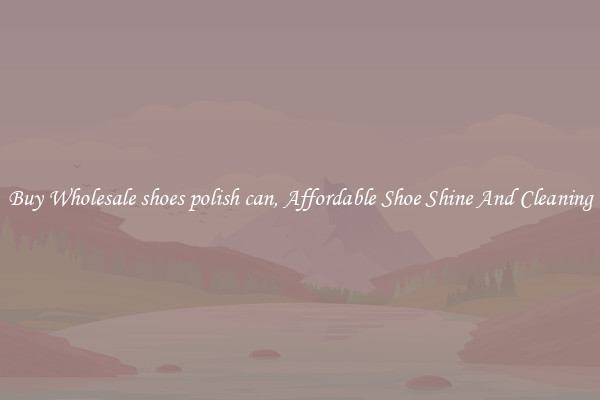 Buy Wholesale shoes polish can, Affordable Shoe Shine And Cleaning