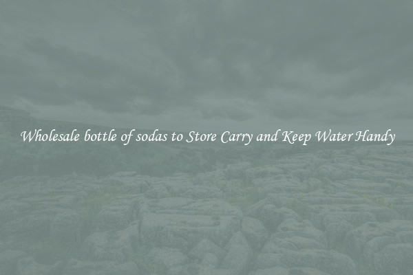 Wholesale bottle of sodas to Store Carry and Keep Water Handy