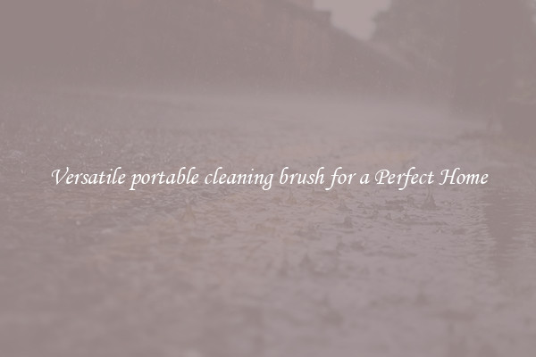 Versatile portable cleaning brush for a Perfect Home