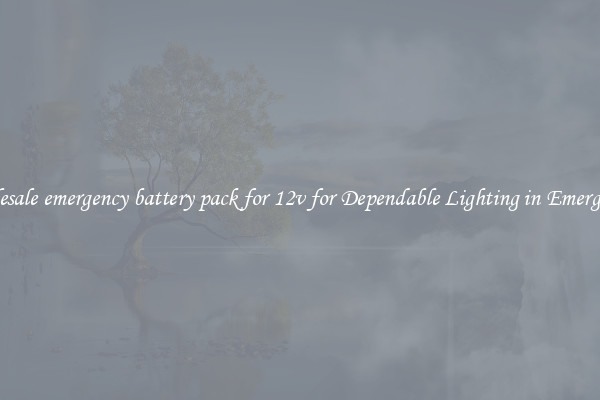 Wholesale emergency battery pack for 12v for Dependable Lighting in Emergencies