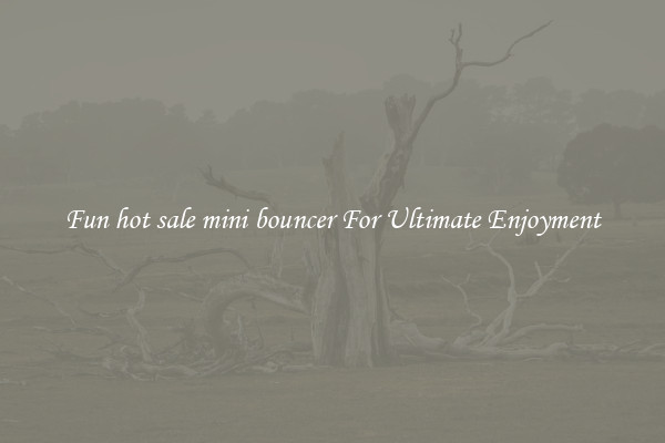 Fun hot sale mini bouncer For Ultimate Enjoyment