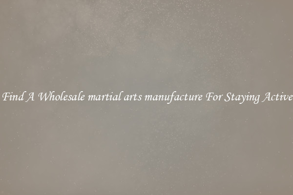 Find A Wholesale martial arts manufacture For Staying Active