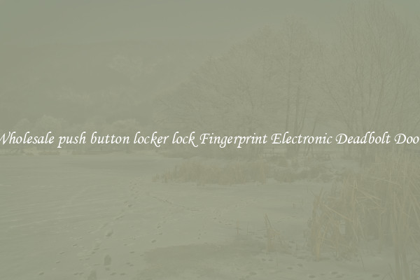 Wholesale push button locker lock Fingerprint Electronic Deadbolt Door 