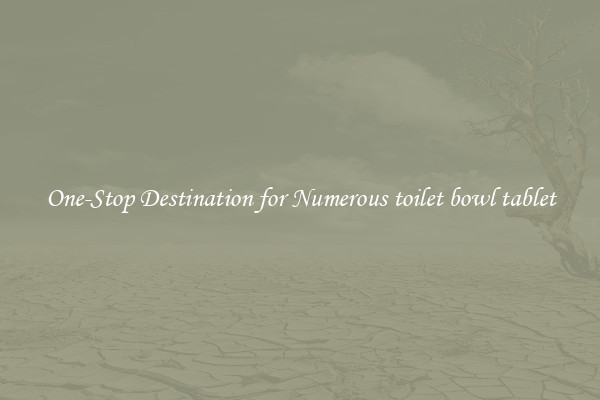One-Stop Destination for Numerous toilet bowl tablet