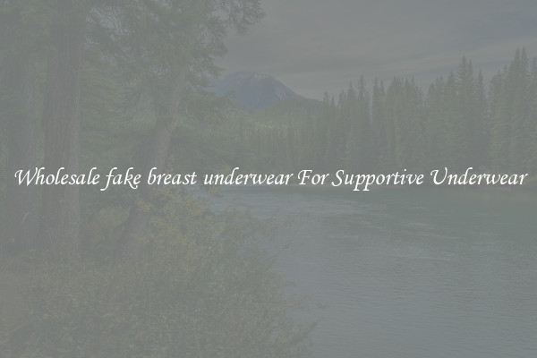 Wholesale fake breast underwear For Supportive Underwear