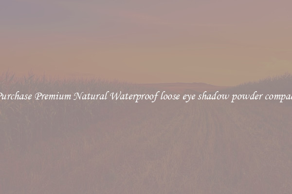Purchase Premium Natural Waterproof loose eye shadow powder compact