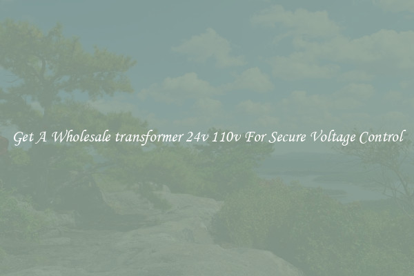 Get A Wholesale transformer 24v 110v For Secure Voltage Control