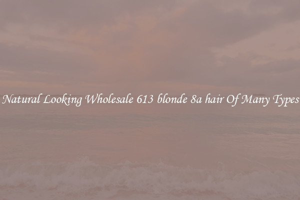 Natural Looking Wholesale 613 blonde 8a hair Of Many Types