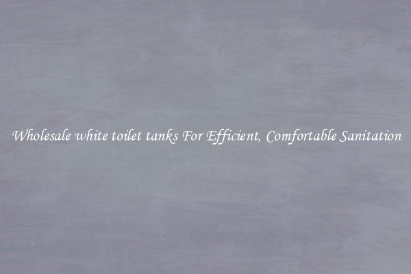 Wholesale white toilet tanks For Efficient, Comfortable Sanitation